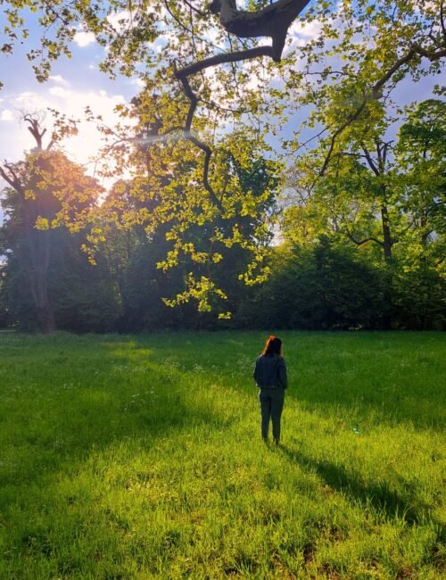 A woman in blue denims standing in the middle of a lawn and around her are tall trees and verdant greenery