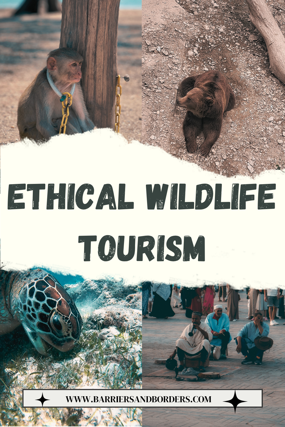 Poster promoting ethical wildlife tourism, showing a chained monkey, a bear on rocky ground, a sea turtle swimming, and tourists beside an elephant; serious, cautionary tone.
