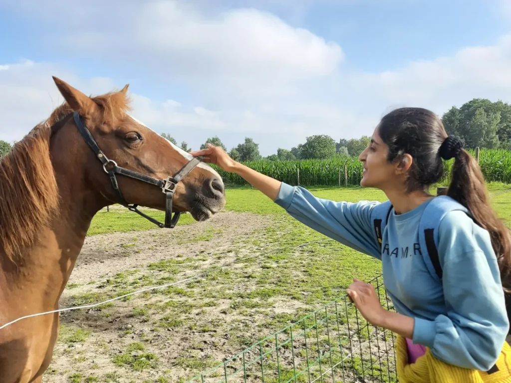 A woman in a blue shirt reaches out to touch a brown horse’s muzzle in a sunny pasture, creating a calm, friendly moment.