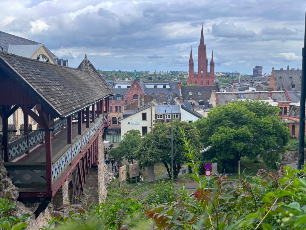 Panoramic view over historic Strasbourg rooftops, with a red Gothic church spire rising above leafy trees under a dramatic cloudy sky. The mood is calm and overcast.